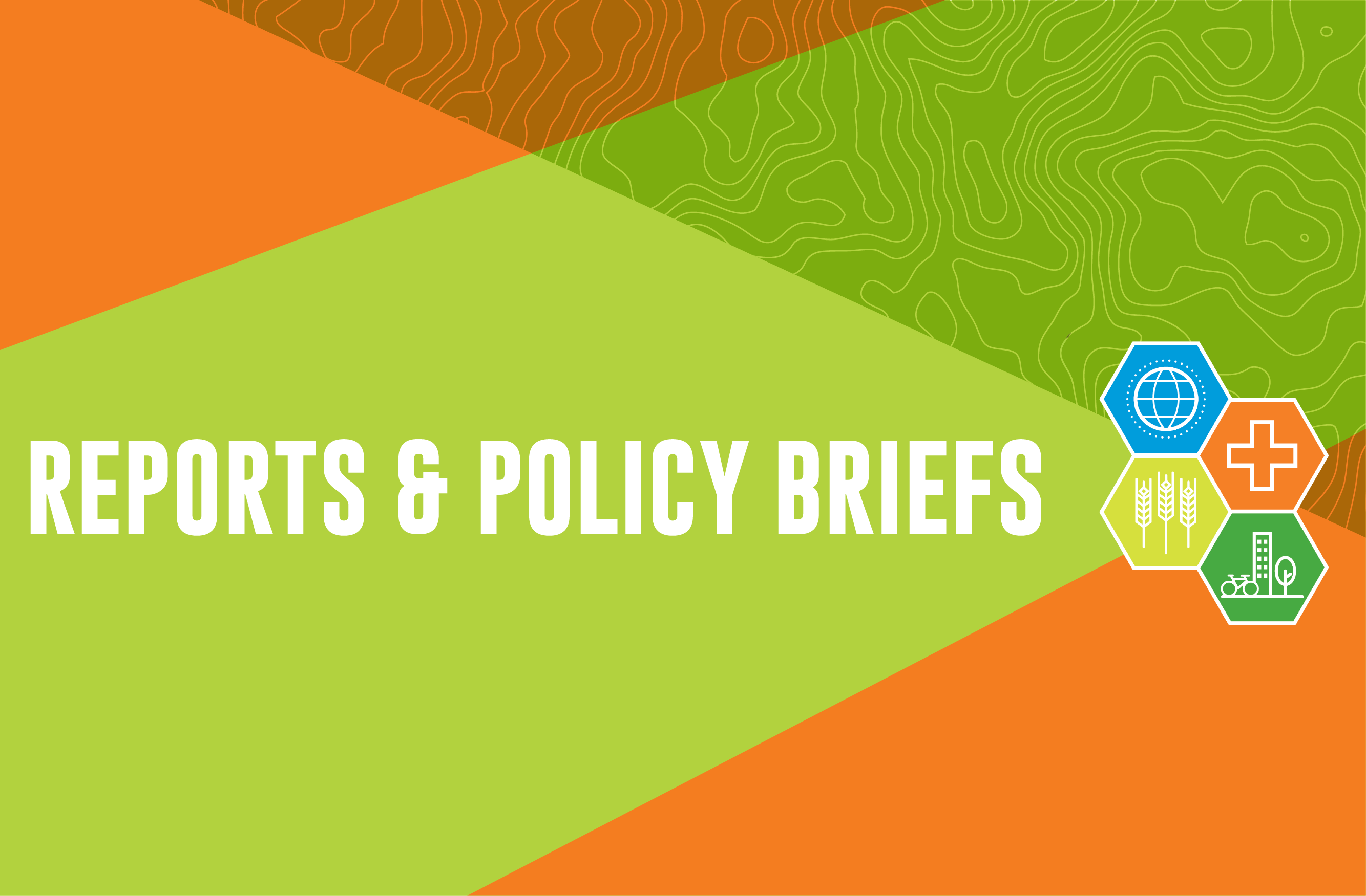 Reports and Policy Briefs