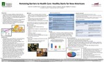 Removing Barriers to Health Care: Healthy Starts for New Americans by Delia French, Matthew Graf, Jeremy Korsh, Harry Kreider, Erica Pasciullo, Katie Shean, Emily Wood, Jon Bourgo, Hendrika Maltby, and Jan Carney