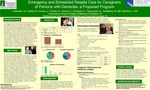 Emergency and Scheduled Respite Care for Caregivers of Persons with Dementia: A Proposed Program by Olivia Carpinello, Bridget Collins, Jennifer Covino, Daniel Fischer, Angelica Santos, Kyle Schoppel, Aleksey Tadevosyan, William Pendlebury, and Linda Martinez