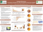 Living in Recovery:Perceptions of Health Care and Comorbidities in Rural New England