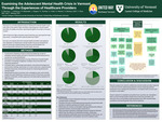 Examining the Adolescent Mental Health Crisis in Vermont Through the Experiences of Healthcare Providers by Cliff Bauman, Jeff Heithmar, Ryan Marawala, Jill Rogers, Evelyn Thomas, Alex Vitali, and Kyra Weaver