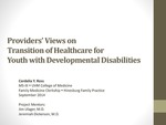 Providers’ Views on Transition of Healthcare for Youth with Developmental Disabilities by Cordelia Y. Ross
