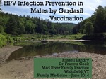 HPV Infection Prevention in Males by Gardasil Vaccination by Russell Landry