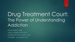 Drug Treatment Court: The Power of Understanding Addiction by Asaad Traina