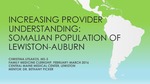 Increasing Provider Understanding: Somalian Population of Lewiston-Auburn by Christina Litsakos