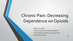 Chronic Pain: Decreasing Dependence on Opioids by Derek Luzim