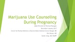 Marijuana Use Counseling During Pregnancy by Adam Petchers