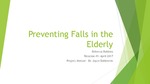 Preventing Falls in the Elderly by Rebecca Robbins