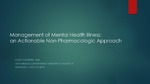 Management of Mental Health Illness: an Actionable Non-Pharmacologic Approach
