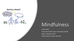Mindfulness: an underutilized tool for patients and providers alike