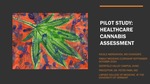 Pilot study: healthcare cannabis assessment by Nicole Wershoven