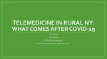 Telemedicine in Rural NY: What Comes After COVID-19 by Sylvia Lane