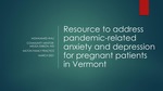 Resource to address pandemic-related anxiety and depression for pregnant patients in Vermont