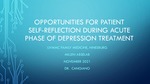 Opportunities for Patient Self-Reflection During Acute Phase of Depression Treatment by Millen Abselab