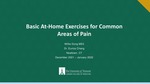 Basic At-Home Exercises for Common Areas of Pain