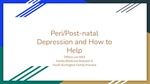 Community Resources Addressing Peripartum Depression