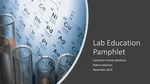 Patient Pamphlet for Basic Lab Values by Robert A. Adamian