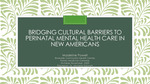 Bridging Cultural Barriers to Perinatal Mental Health Care in New Americans