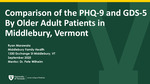 Comparison of the PHQ-9 and GDS-5 by Older Adult Patients in Middlebury, Vermont