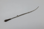 Thompson's retention catheter with maleable silver probe points