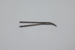 Physick's curved forceps